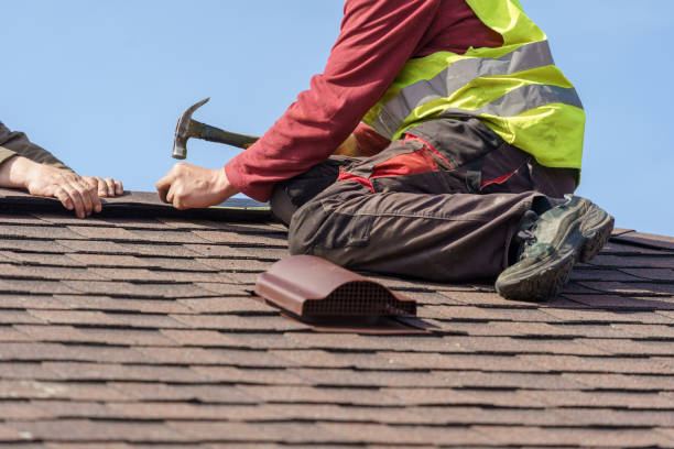 Best Roof Maintenance Services  in Mcgehee, AR