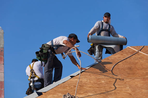 Best Flat Roof Repair Services  in Mcgehee, AR