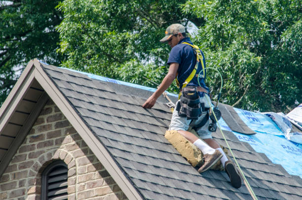 Best New Roof Installation  in Mcgehee, AR